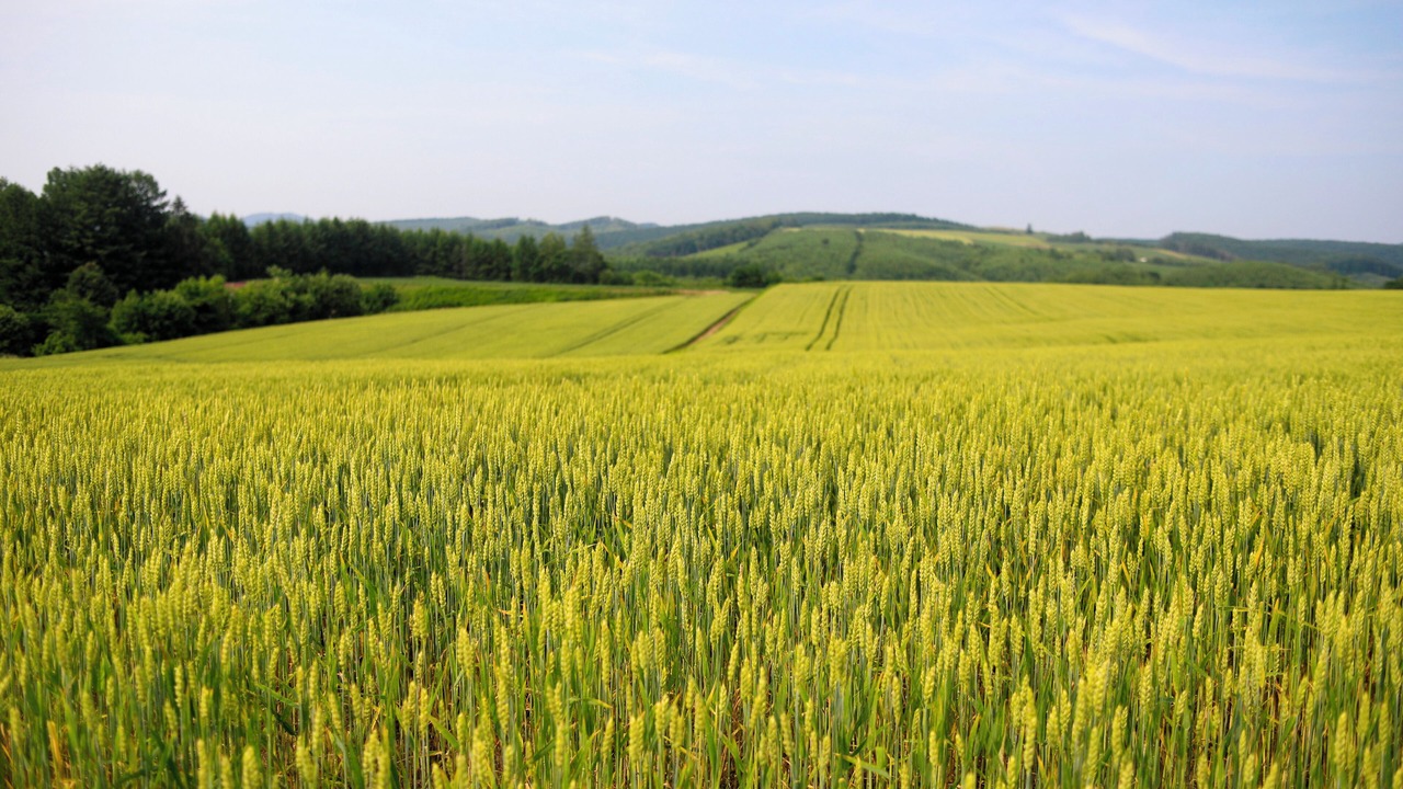 Photo of Outdoor in Hiushinai