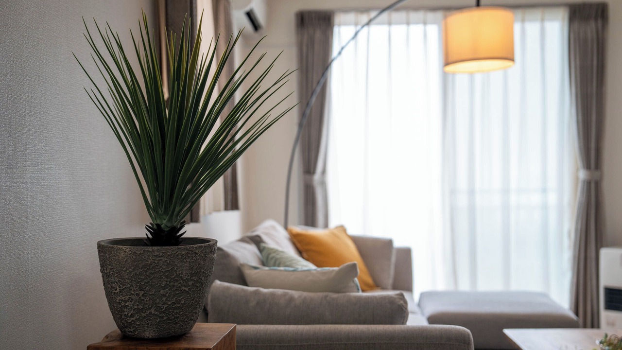 Photo of Livingroom in Higashi