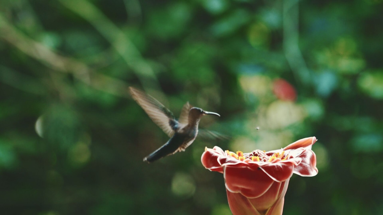 Photo of Outdoor in Tarapoto
