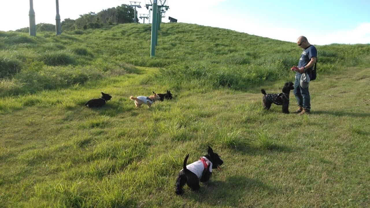 Photo of Outdoor in Mikata-gun