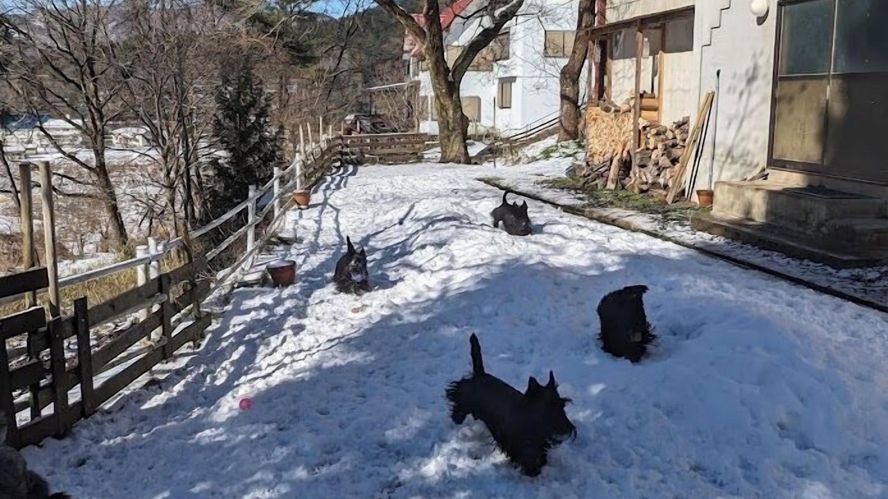 Photo of Others in Mikata-gun