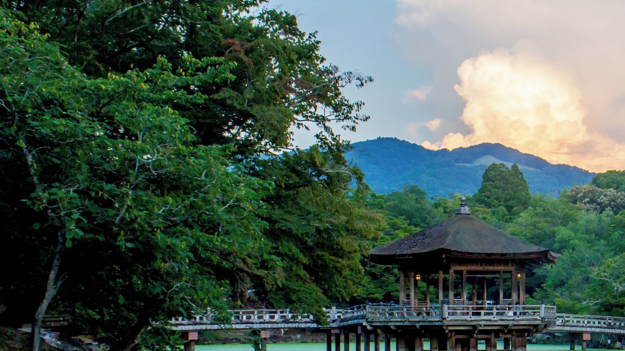 Photo of Others in Nara
