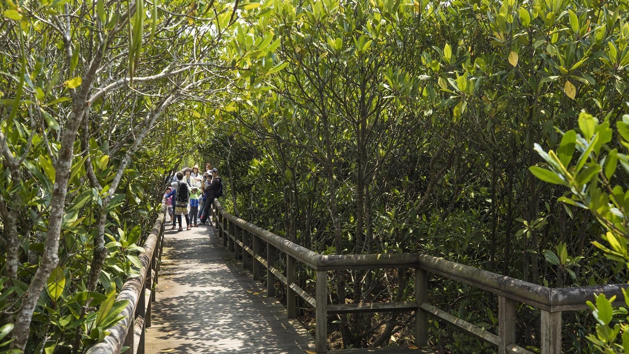 Photo of Outdoor in Higashi