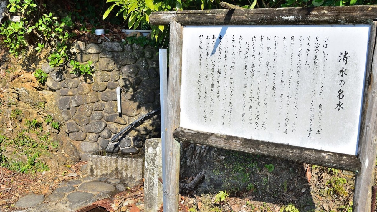 Photo of Outdoor in Tosashimizu