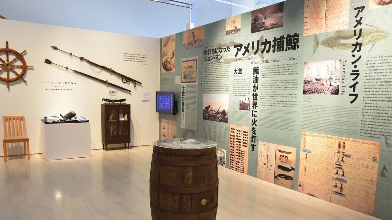 Photo of Others in Tosashimizu