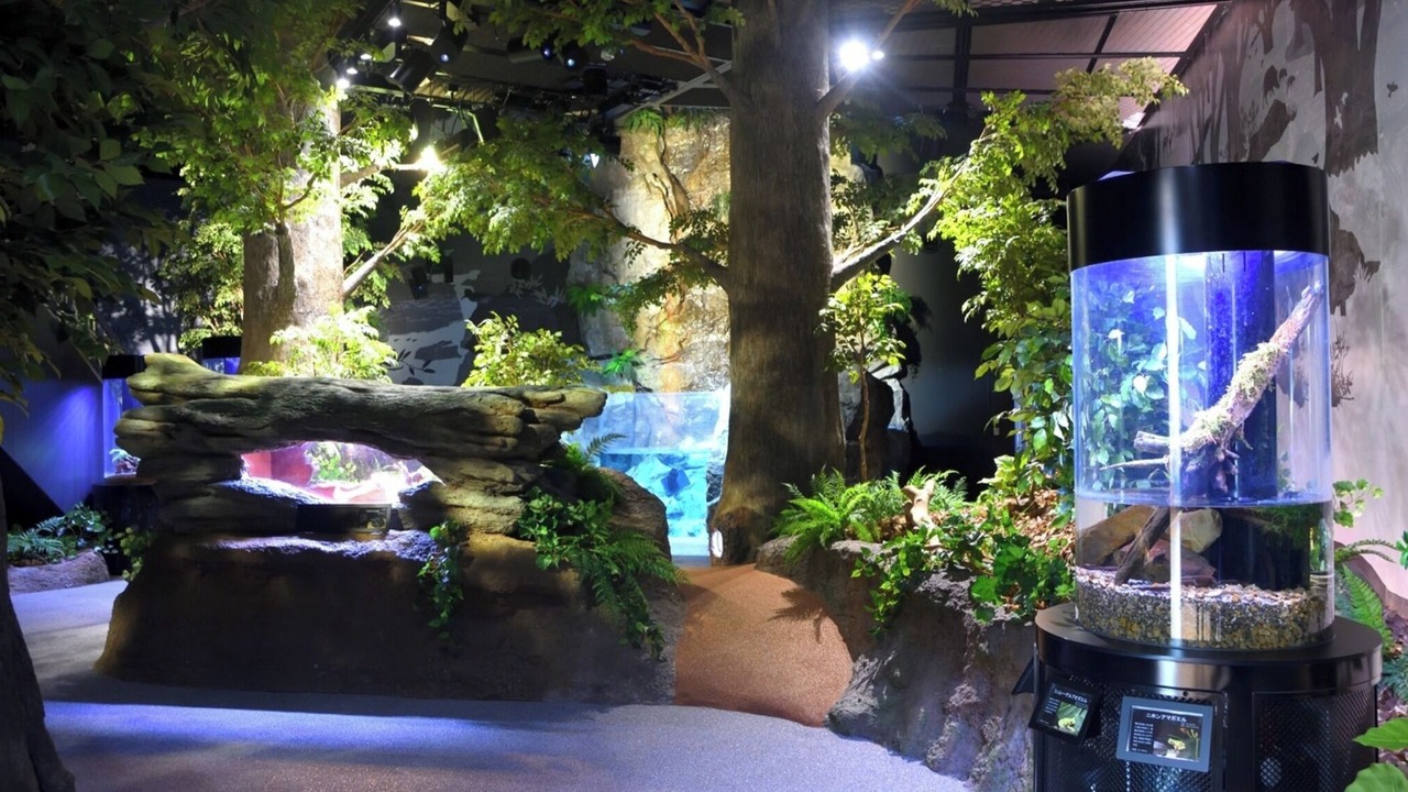 Photo of Outdoor in Tosashimizu