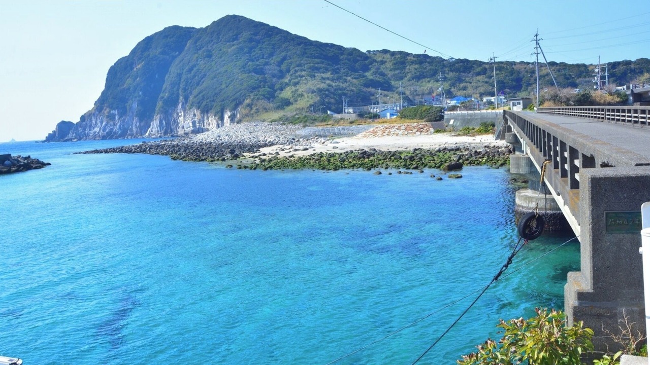 Photo of Others in Tosashimizu