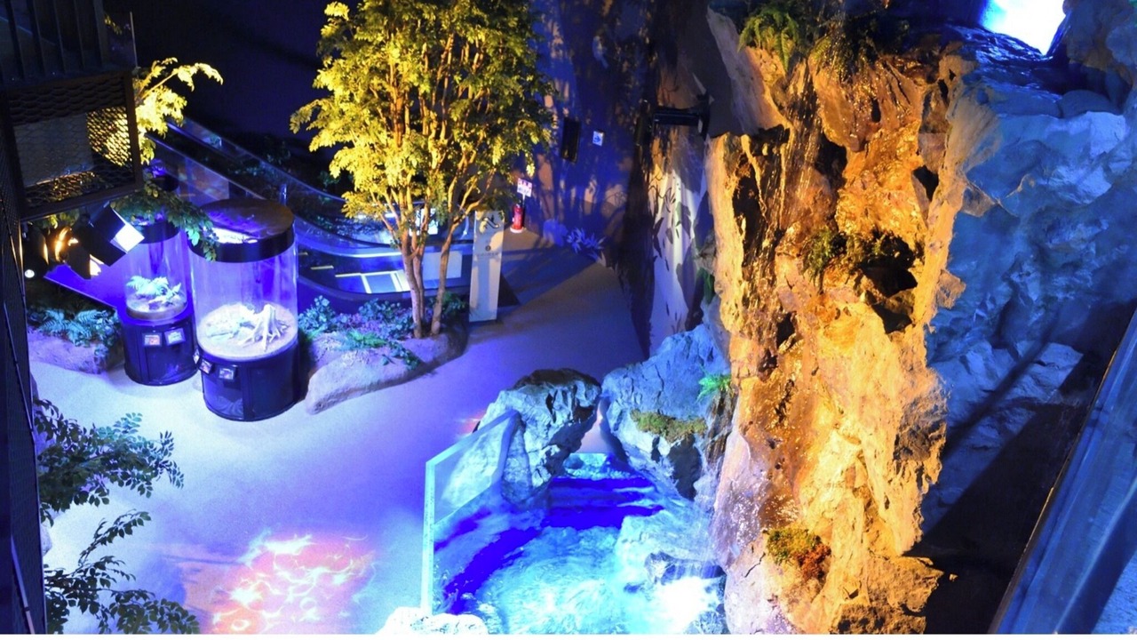 Photo of Outdoor in Tosashimizu