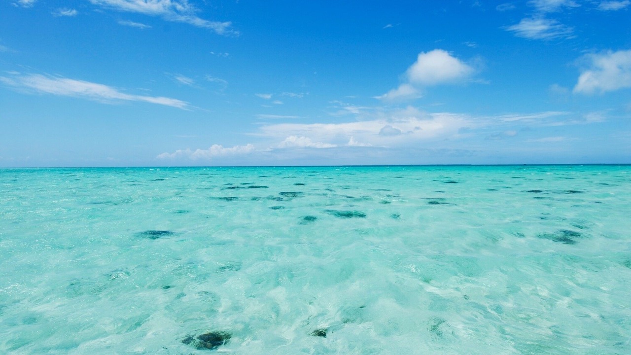 Photo of Others in Ishigaki