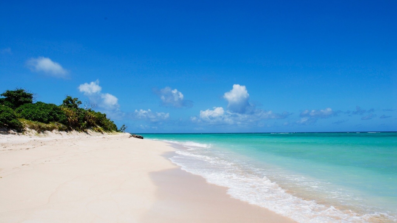 Photo of Others in Ishigaki