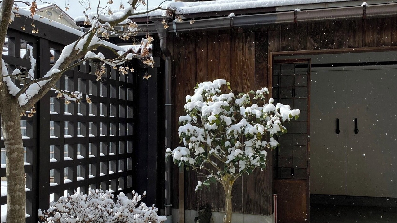 Photo of Outdoor in Old Town