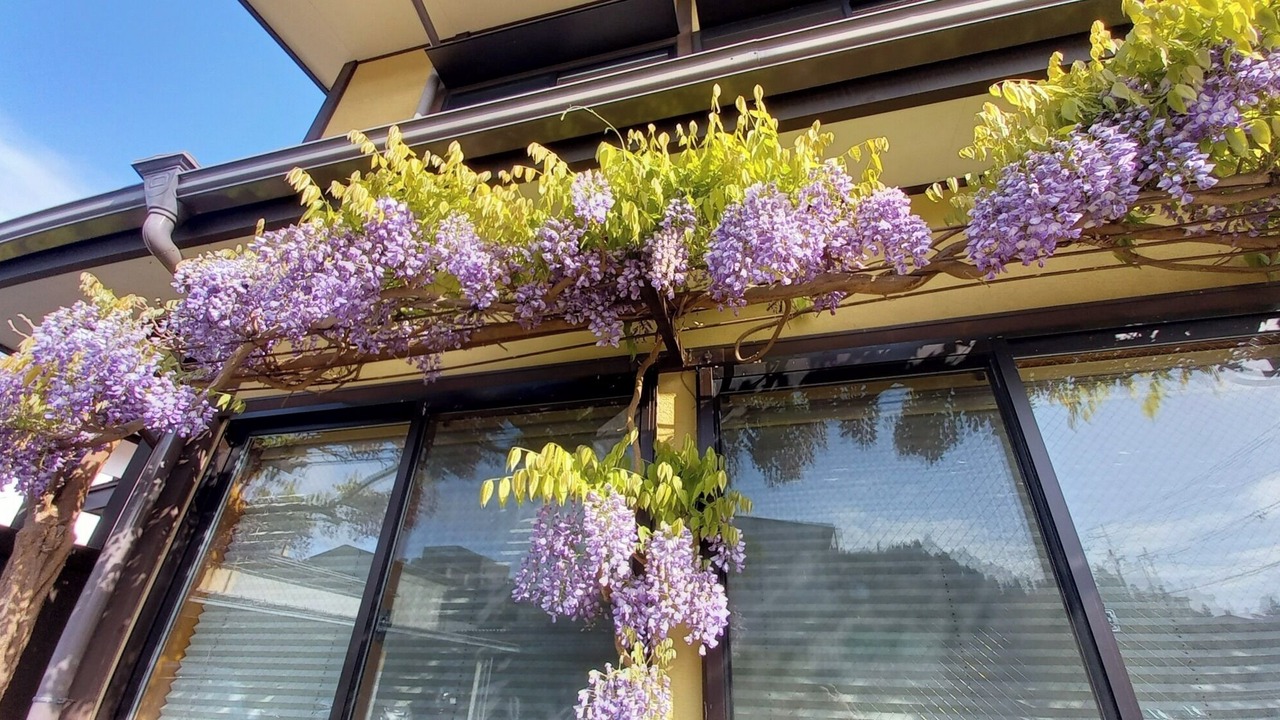 Photo of Outdoor in Old Town