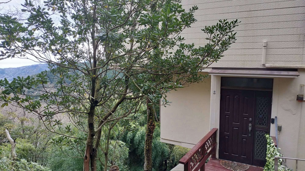 Photo of Outdoor in Atami