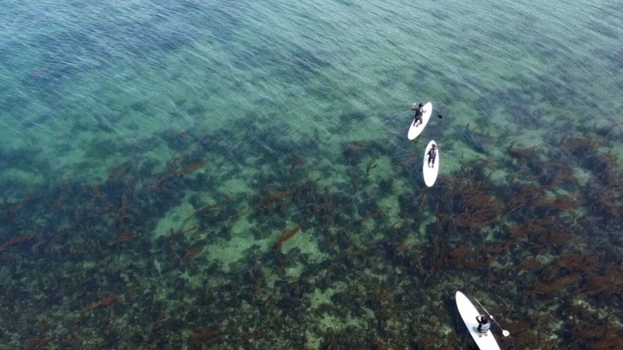 Photo of Outdoor in Kariko
