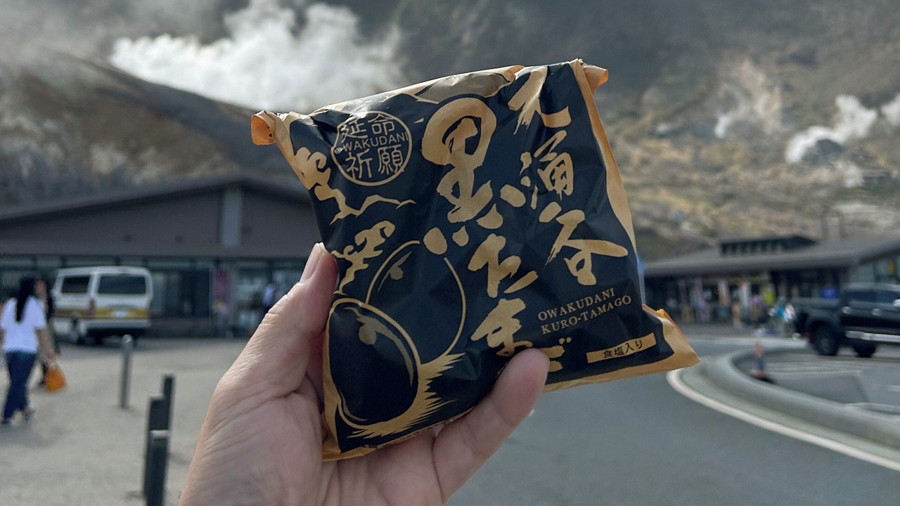 Photo of Others in Hakone
