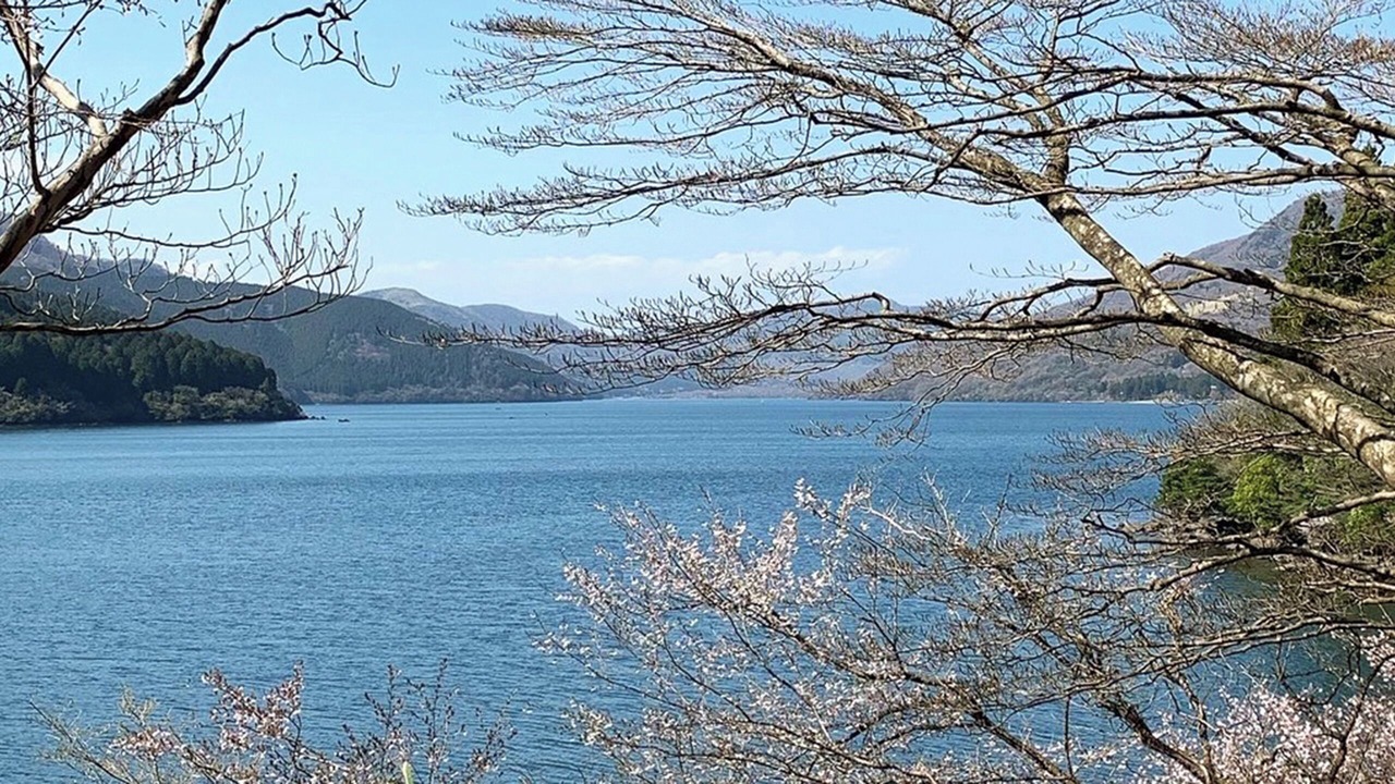 Photo of Others in Hakone