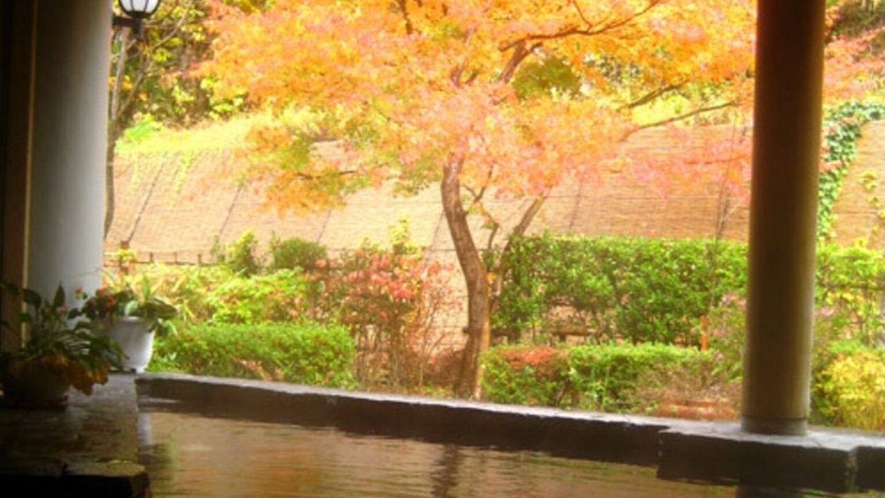 Photo of Others in Yuzawa