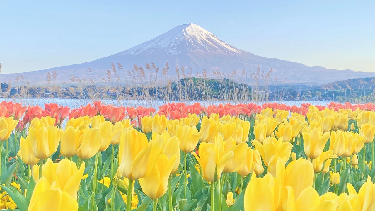 Photo of Others in Fujikawaguchiko