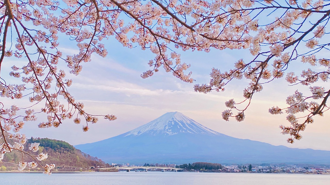 Photo of Others in Fujikawaguchiko