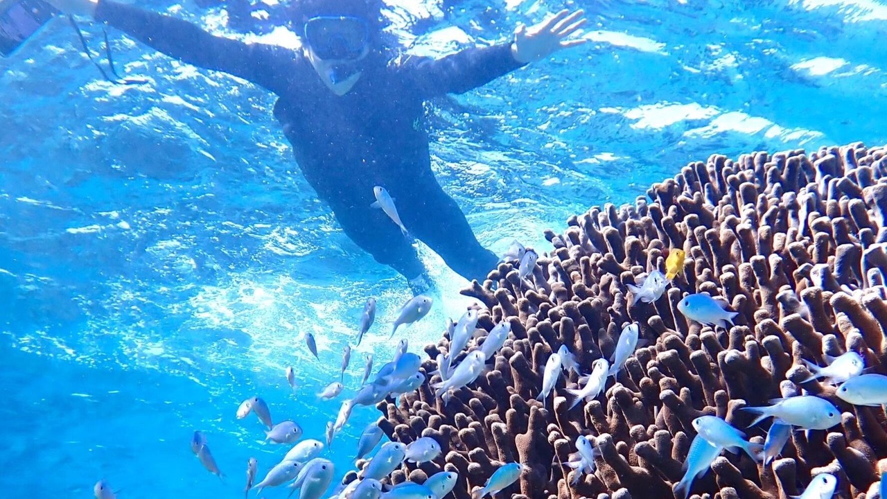 Photo of Others in Yonaguni