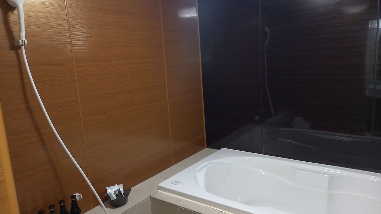 Photo of Bathroom in Gyoda