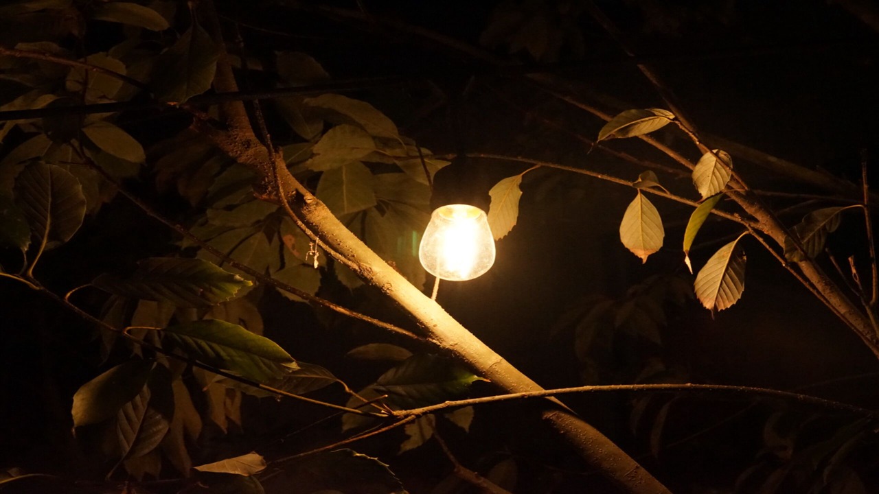 Photo of Outdoor in Nishimera-son