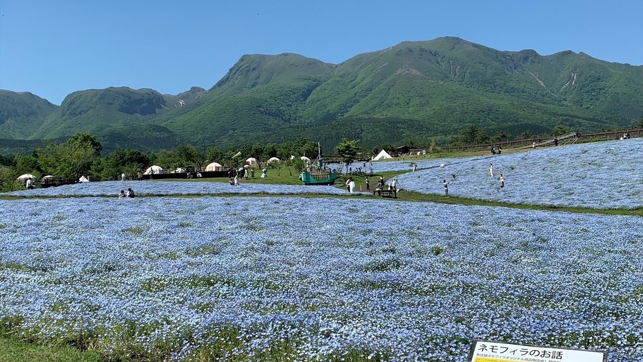 Photo of Outdoor in Taketa