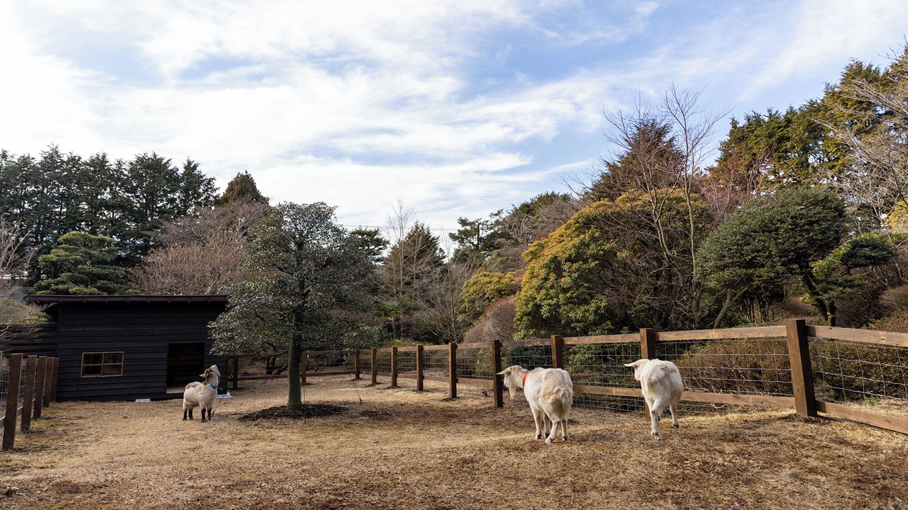 Photo of Outdoor in Hakone