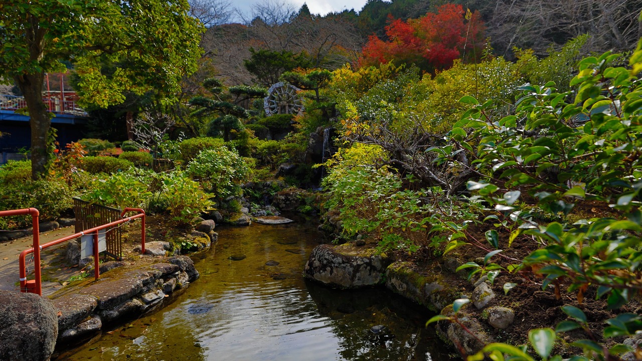 Photo of Outdoor in Mishima