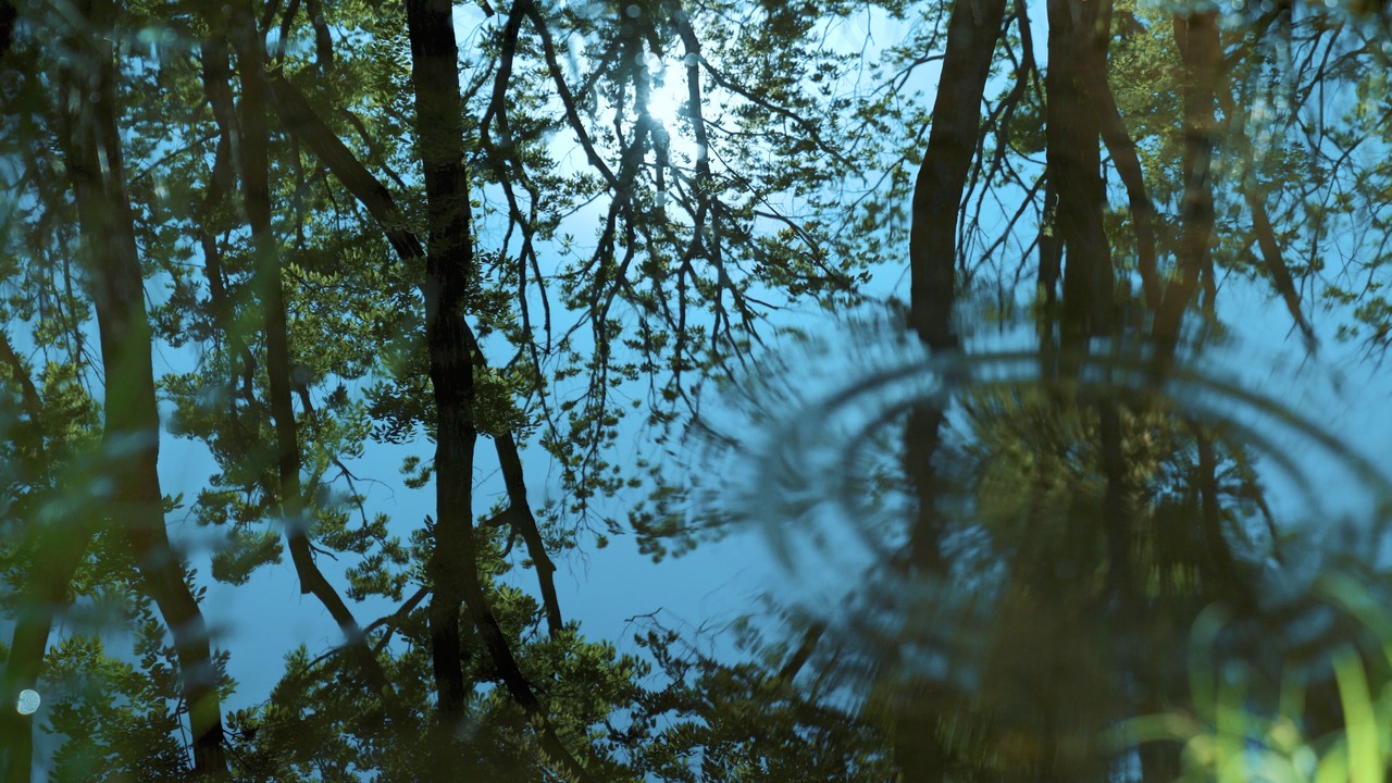 Photo of Outdoor in Nasu