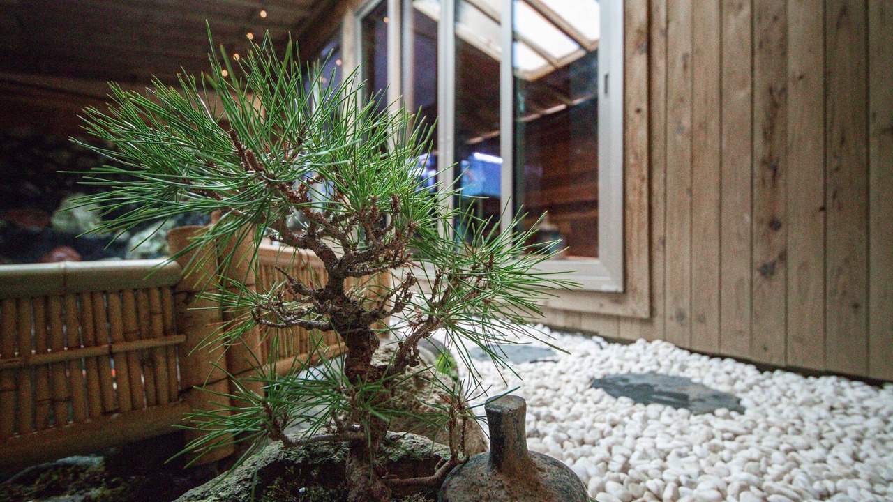 Photo of Outdoor in Kita Ward