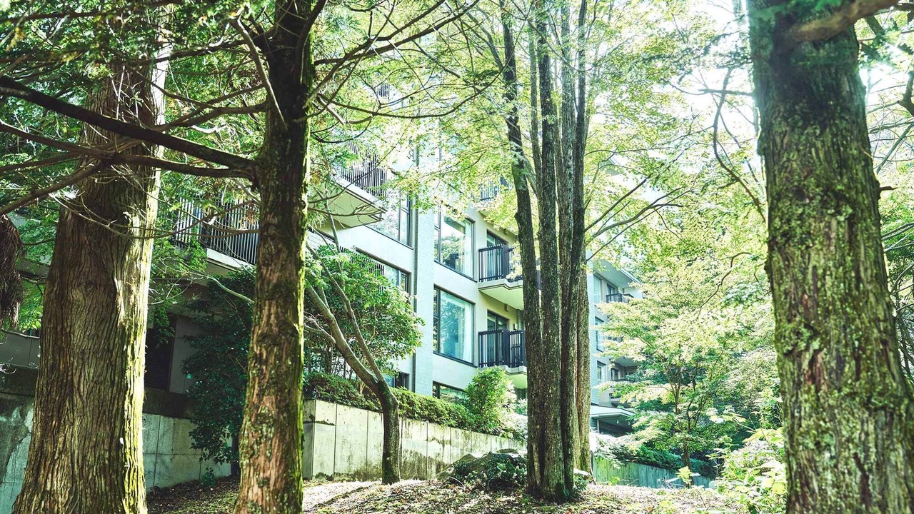 Photo of Outdoor in Gora