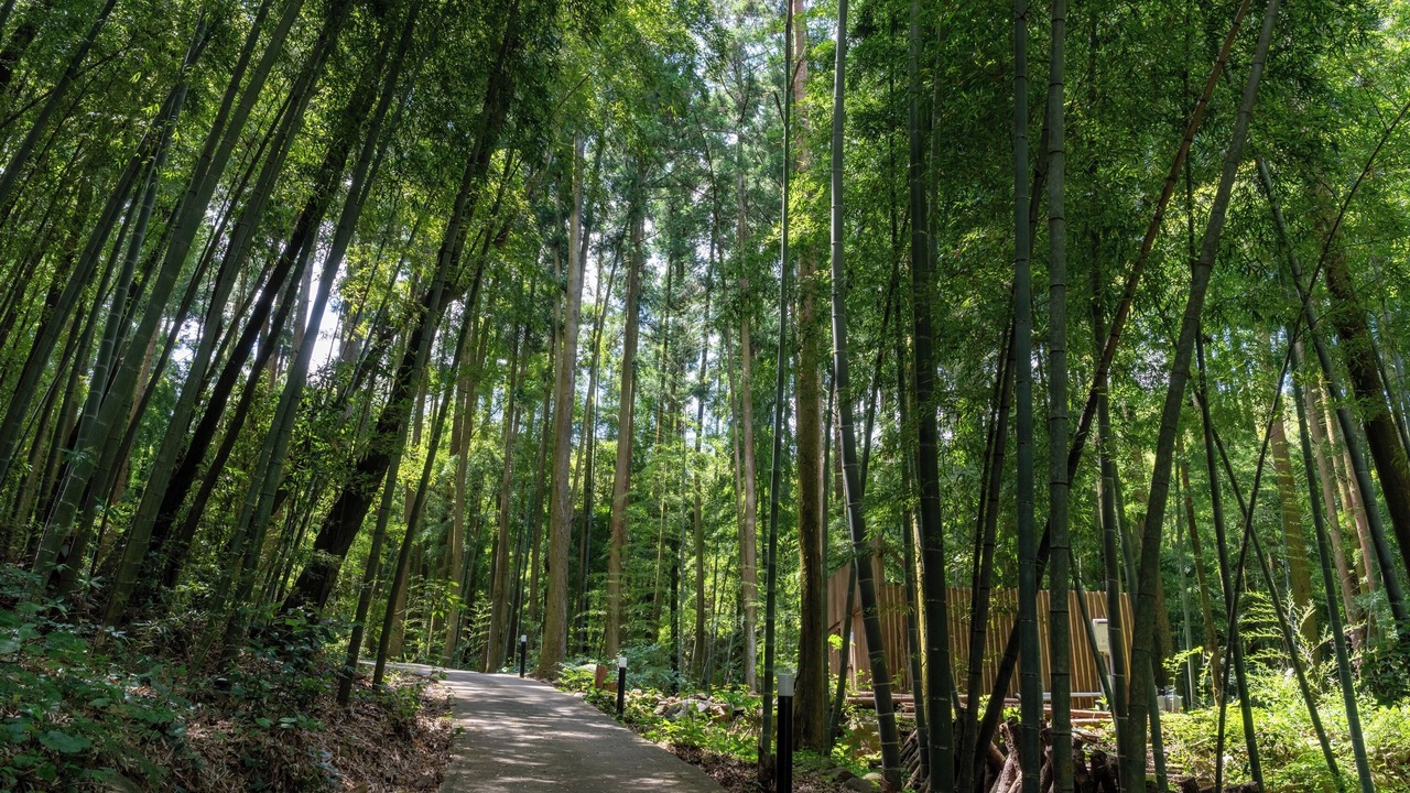 Photo of Outdoor in Higashisonogi