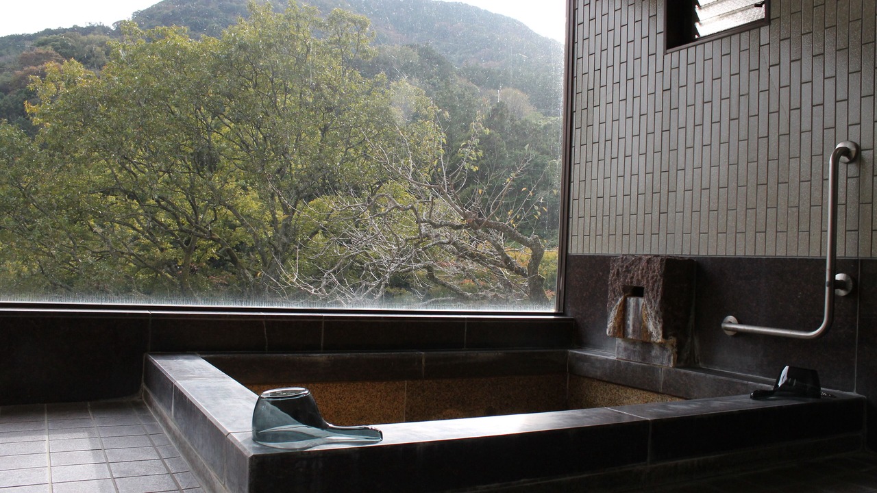 Photo of Bathroom in Yugawara