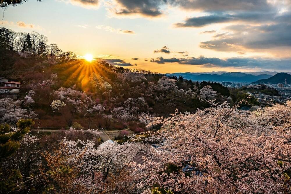 Photo of Others in Fukushima