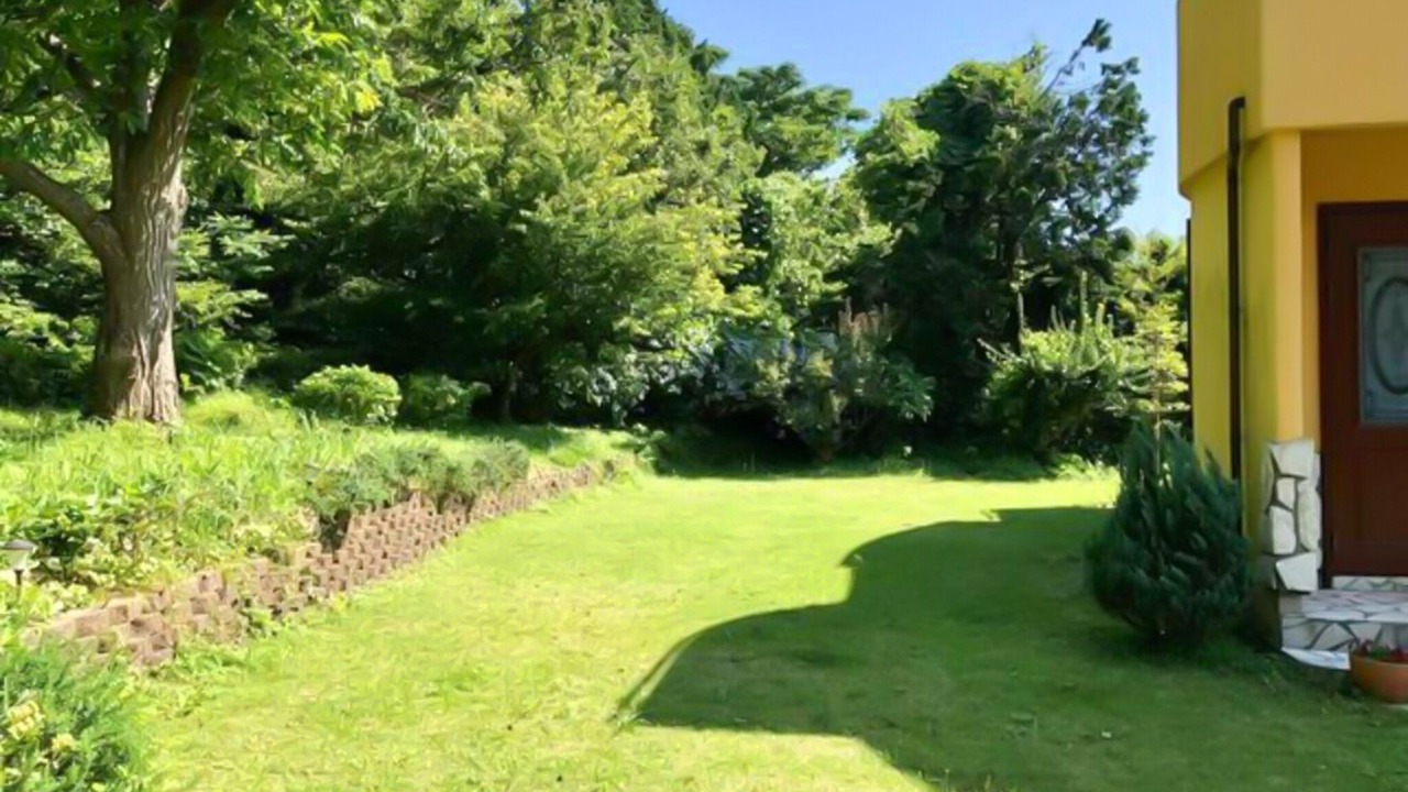 Photo of Outdoor in Higashiizu