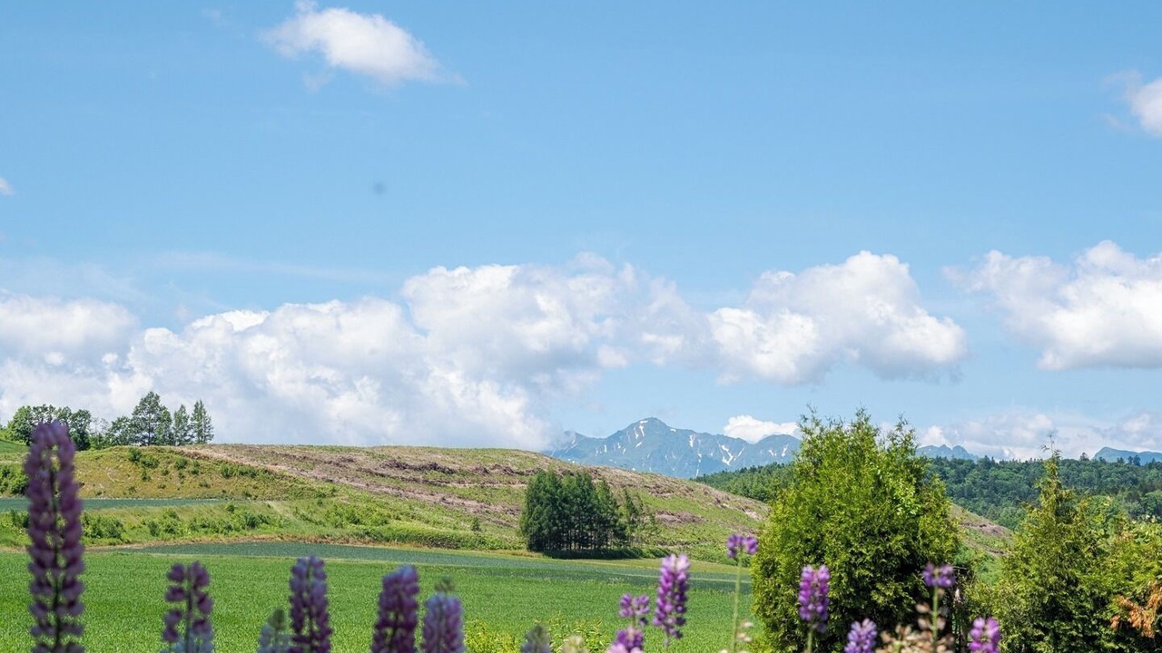 Photo of Outdoor in Furano
