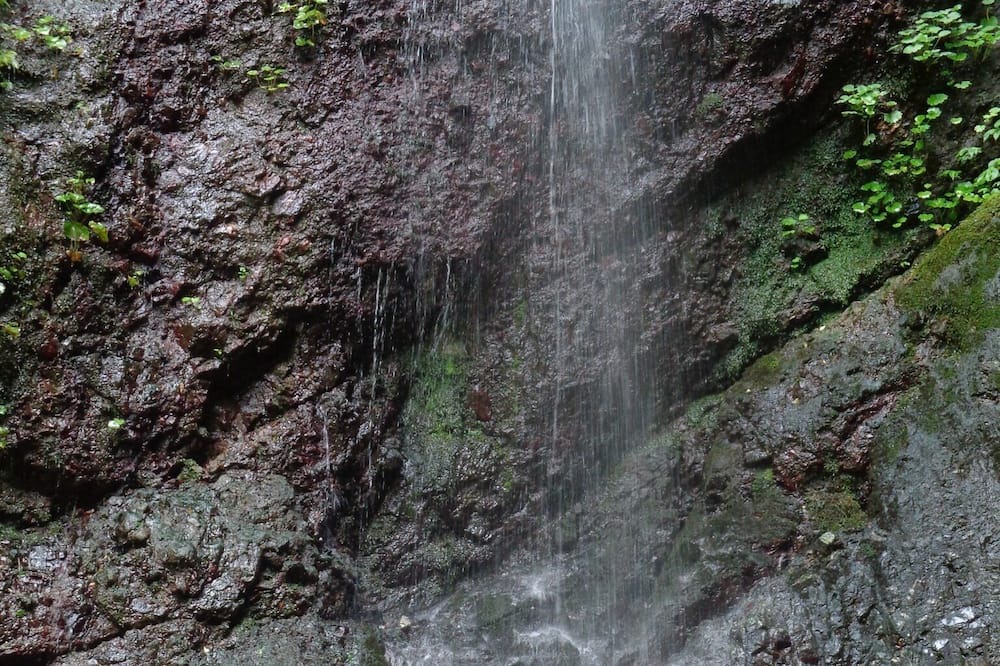 Photo of Others in Hakui