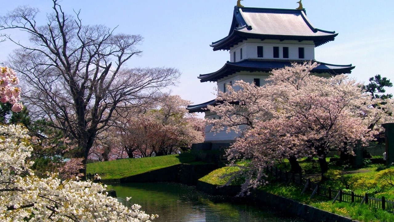 Photo of Others in Matsumae-cho