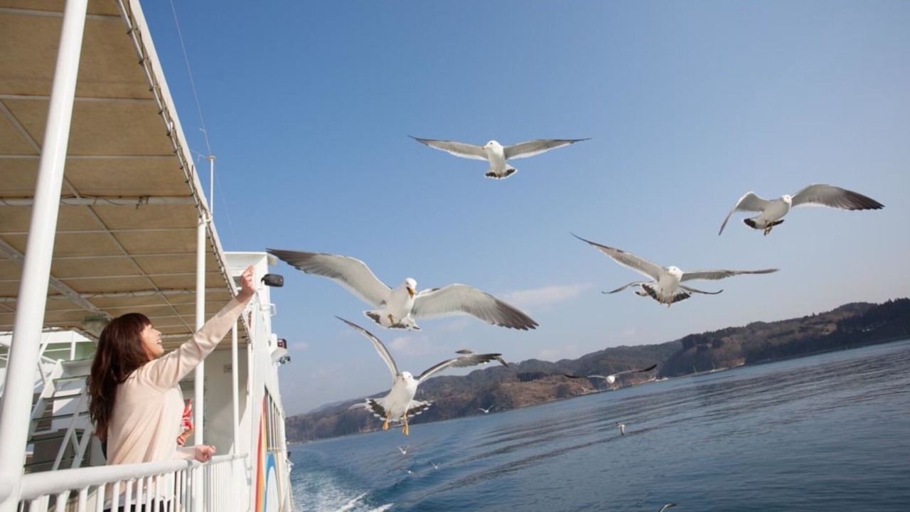 Photo of Others in Kesennuma