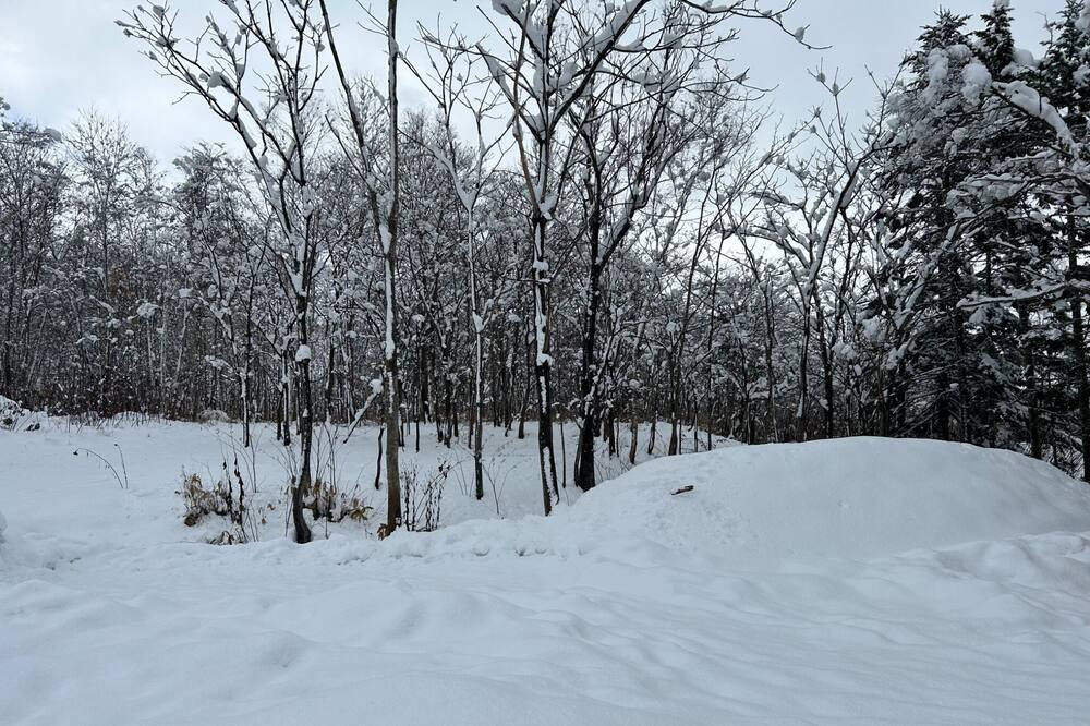 Photo of Outdoor in Niseko