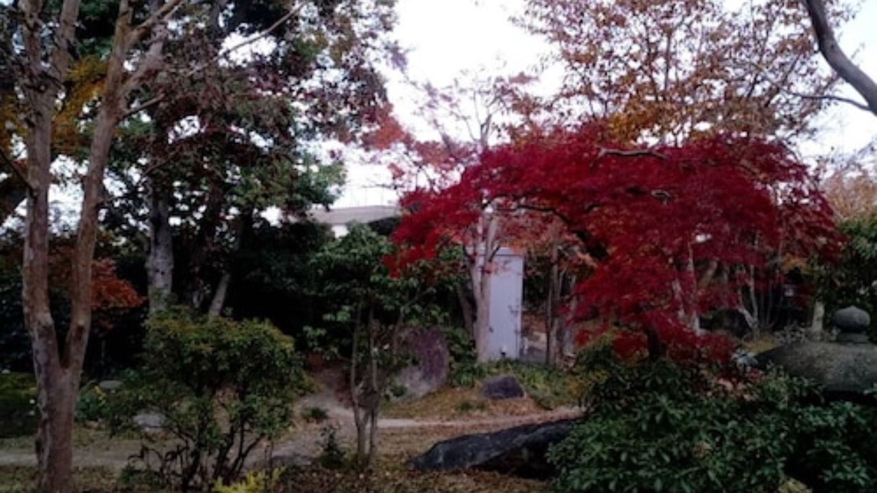 Photo of Outdoor in Beppu