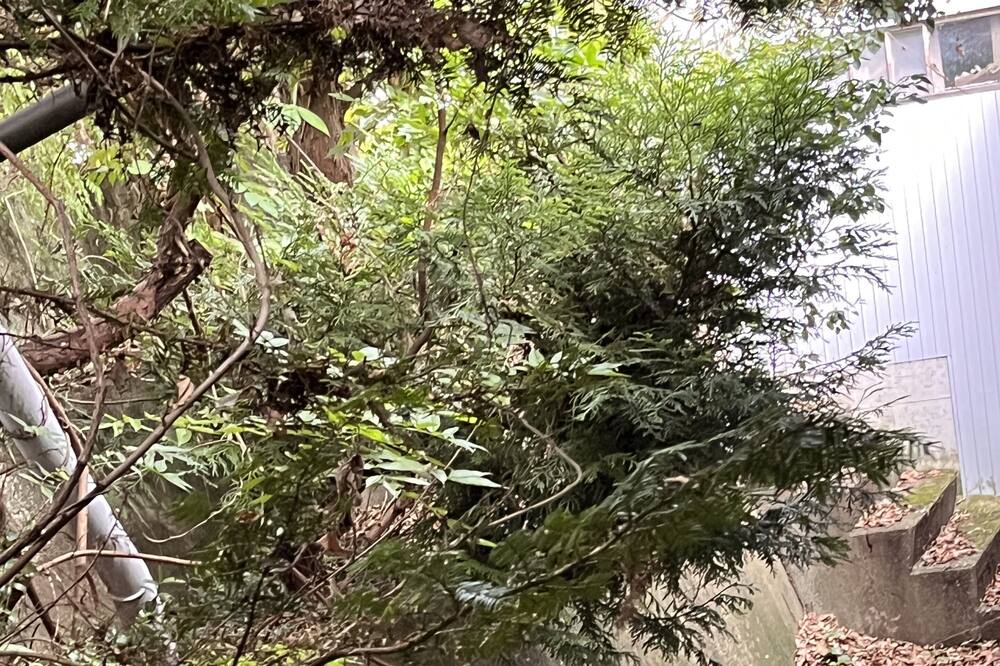 Photo of Outdoor in Nagawa-machi