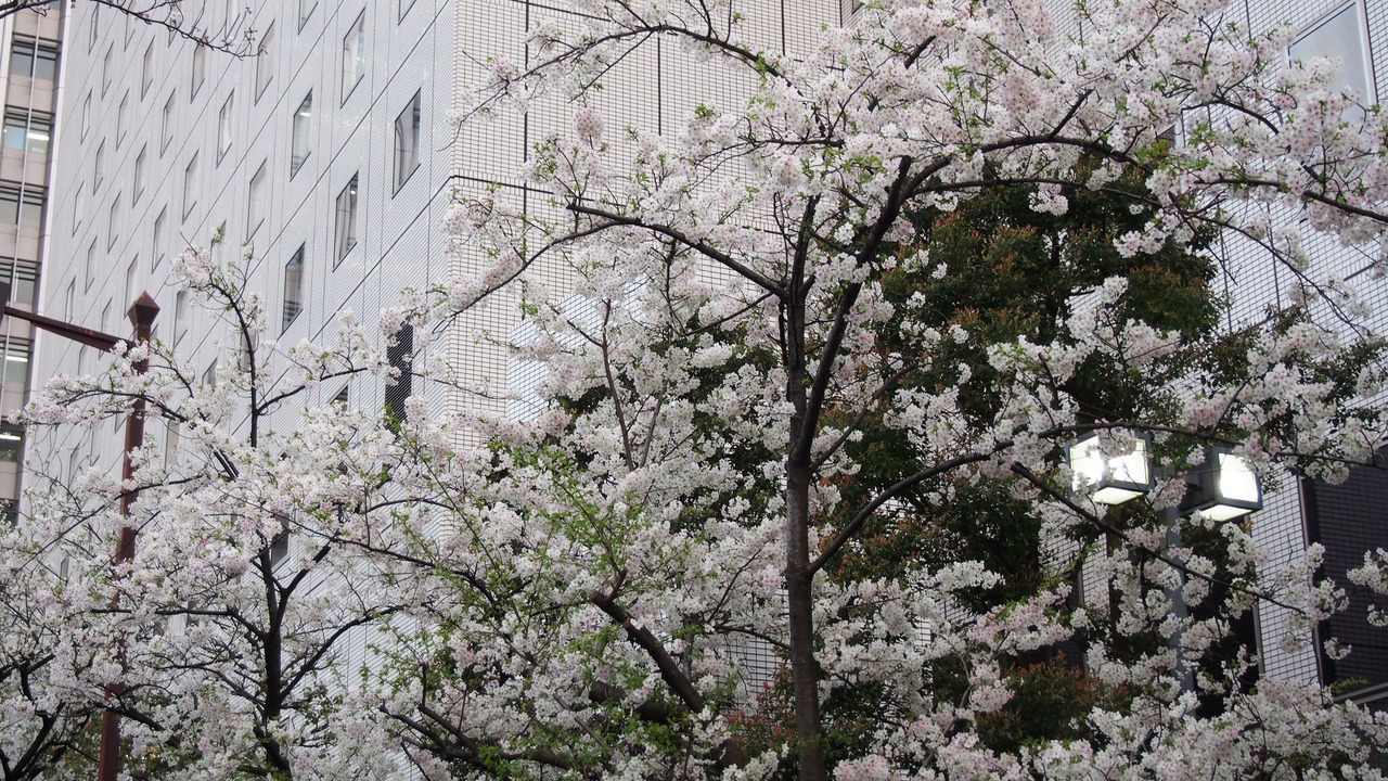 Photo of Outdoor in Osaki