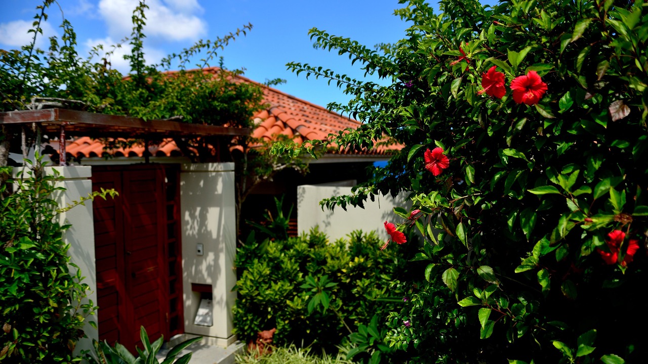Photo of Bedroom in Nago