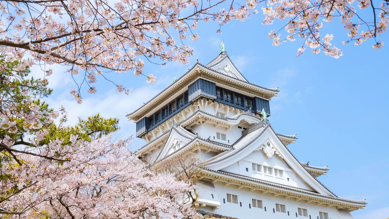 Photo of Others in Kitakyushu