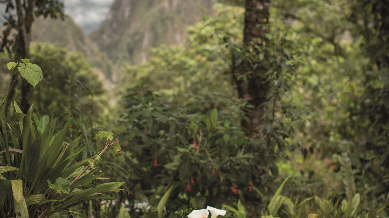 Photo of Bedroom in Machu Picchu
