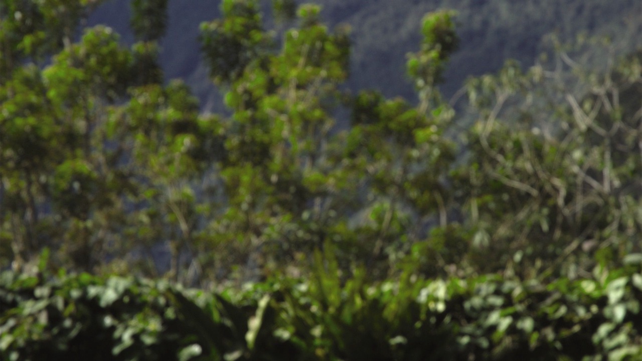 Photo of Outdoor in Machu Picchu