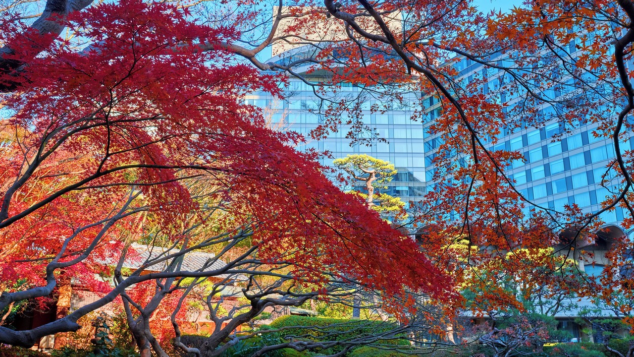 Photo of Outdoor in Kioi