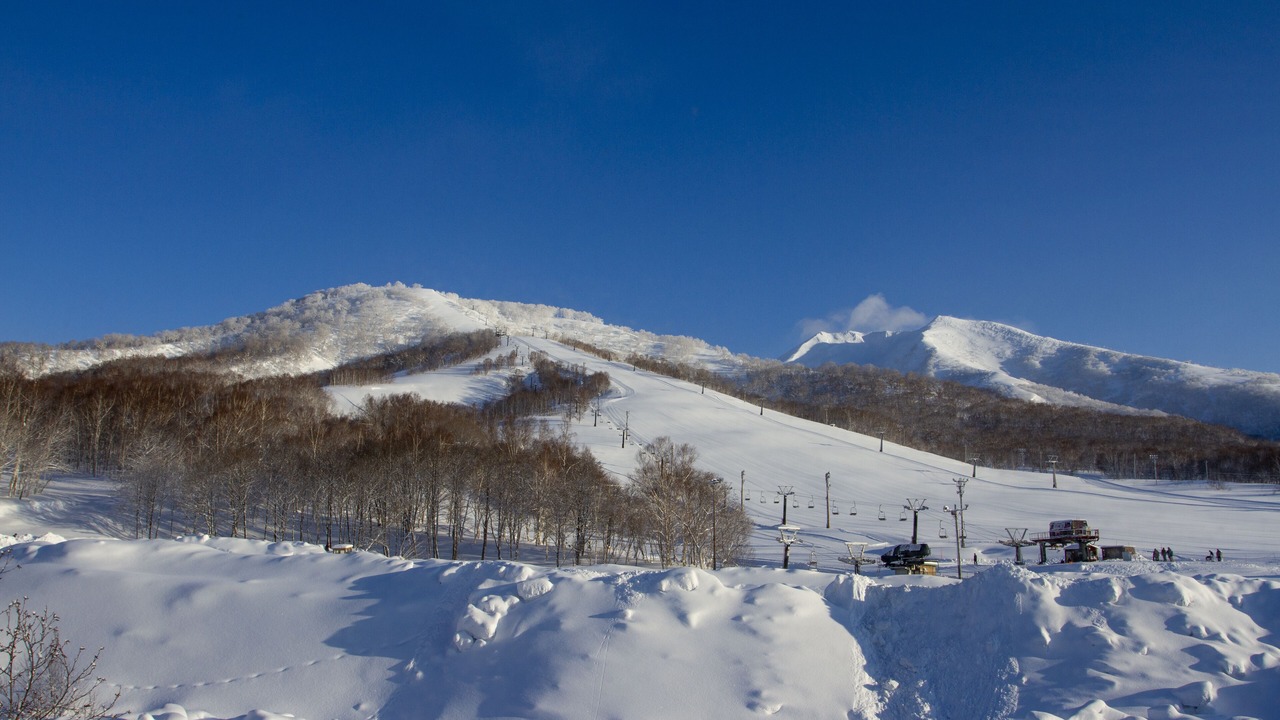 Photo of Bedroom in Niseko